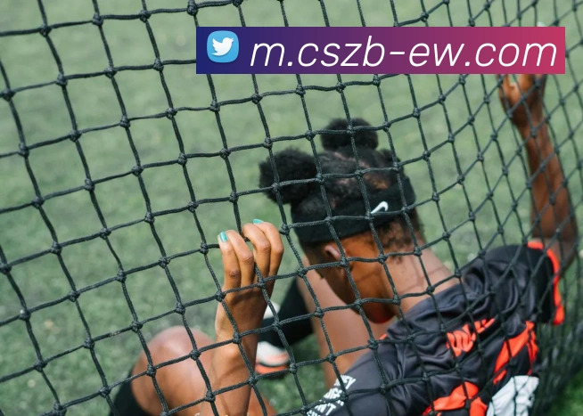 彩神争霸平台生态图