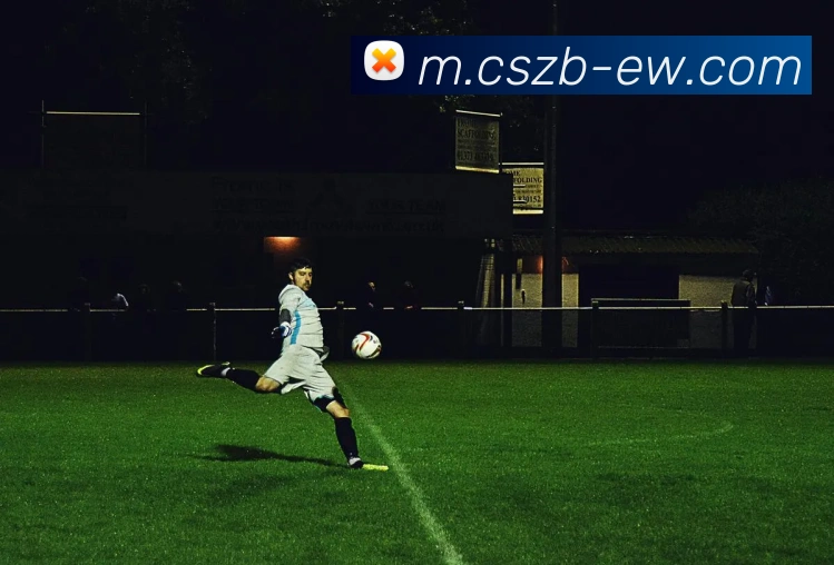 辅助工具 辅助工具